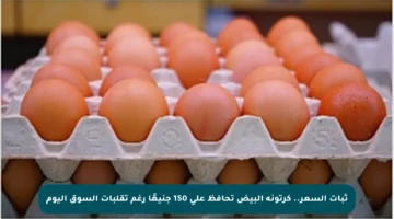 ثبات السعر.. كرتونة البيض تحافظ على 150 جنيهًا رغم تقلبات السوق اليوم